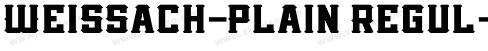 Weissach-Plain Regul字体转换